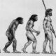 Darwin-Evolution-Interieur